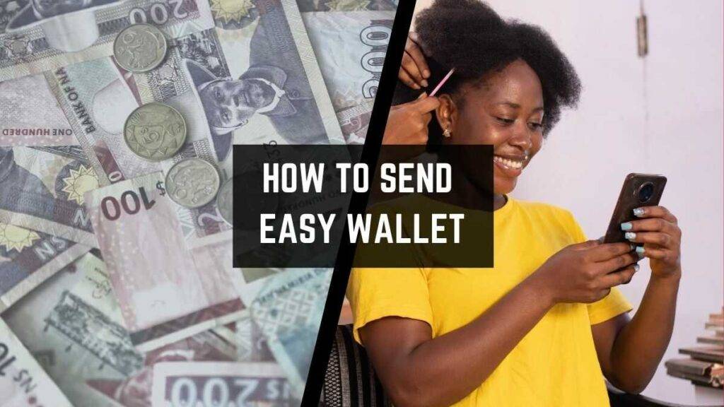 how to send easy wallet