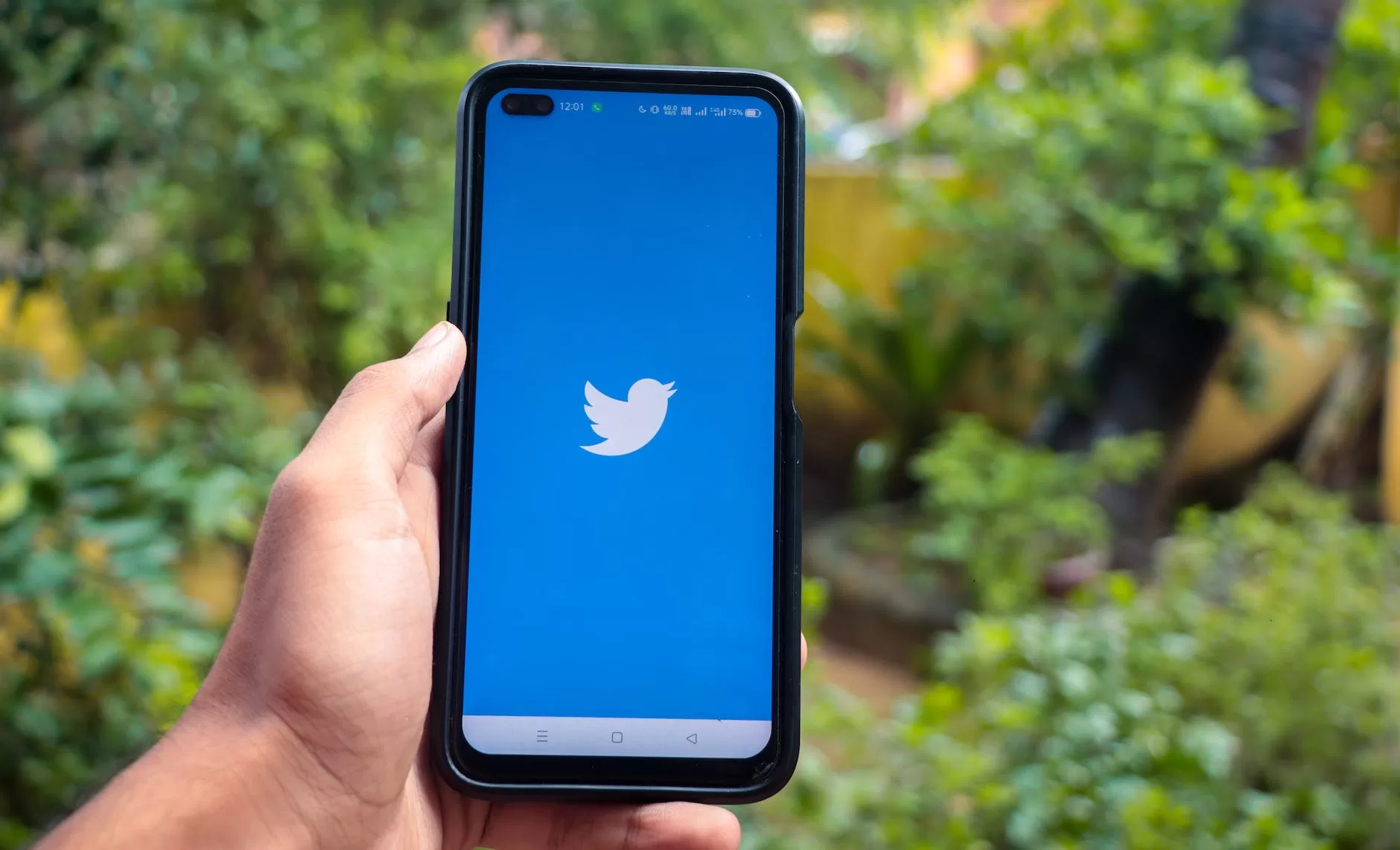 Reach Millions of Twitter Impressions