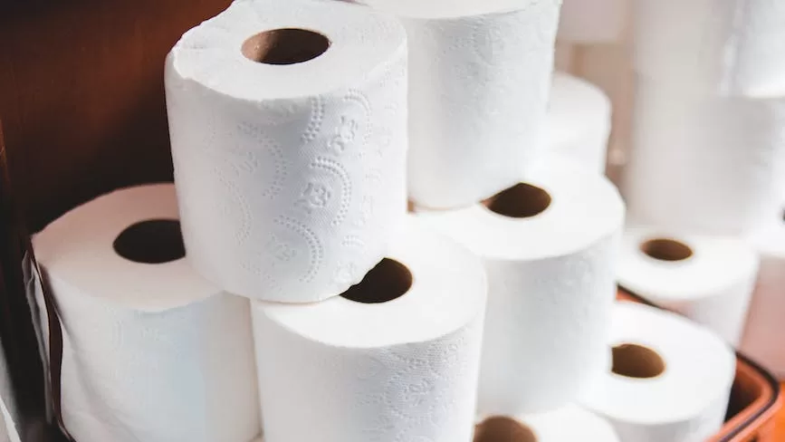factors to consider Before Starting Your Tissue Paper Business in Namibia(Toilet Paper Business in Namibia)