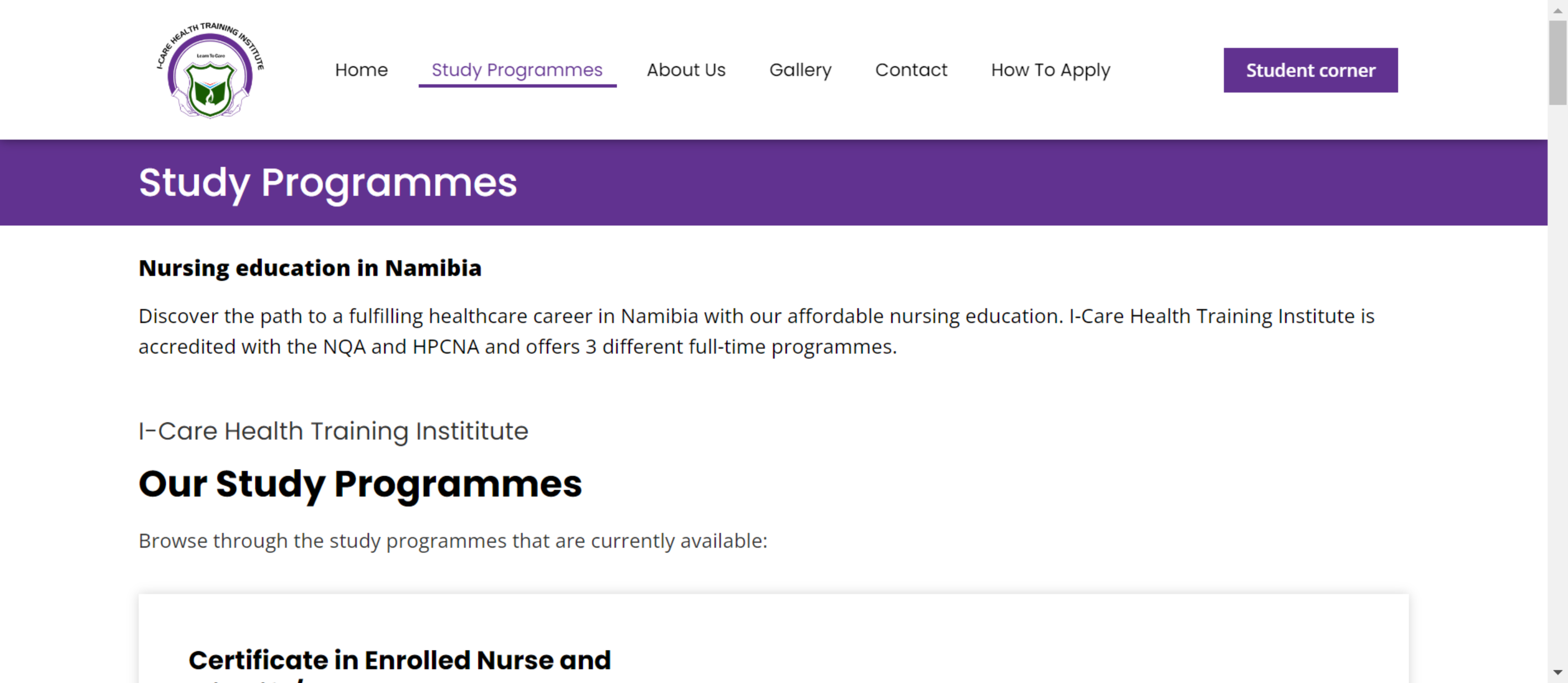 the I-Care requirements for Grade 11 are not just benchmarks