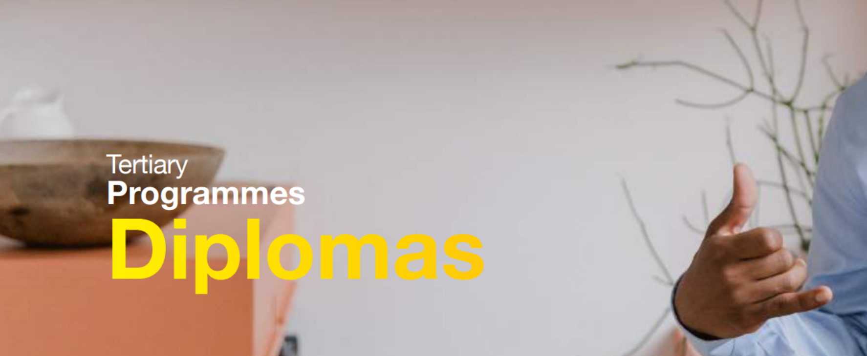 NAMCOL Registration 2024 fees for Diploma in Sign Language Interpreting