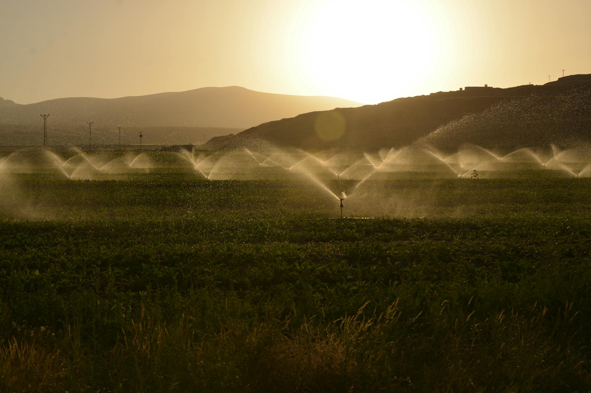 Final Thoughts on How to Irrigate on a Potato Farm in Namibia