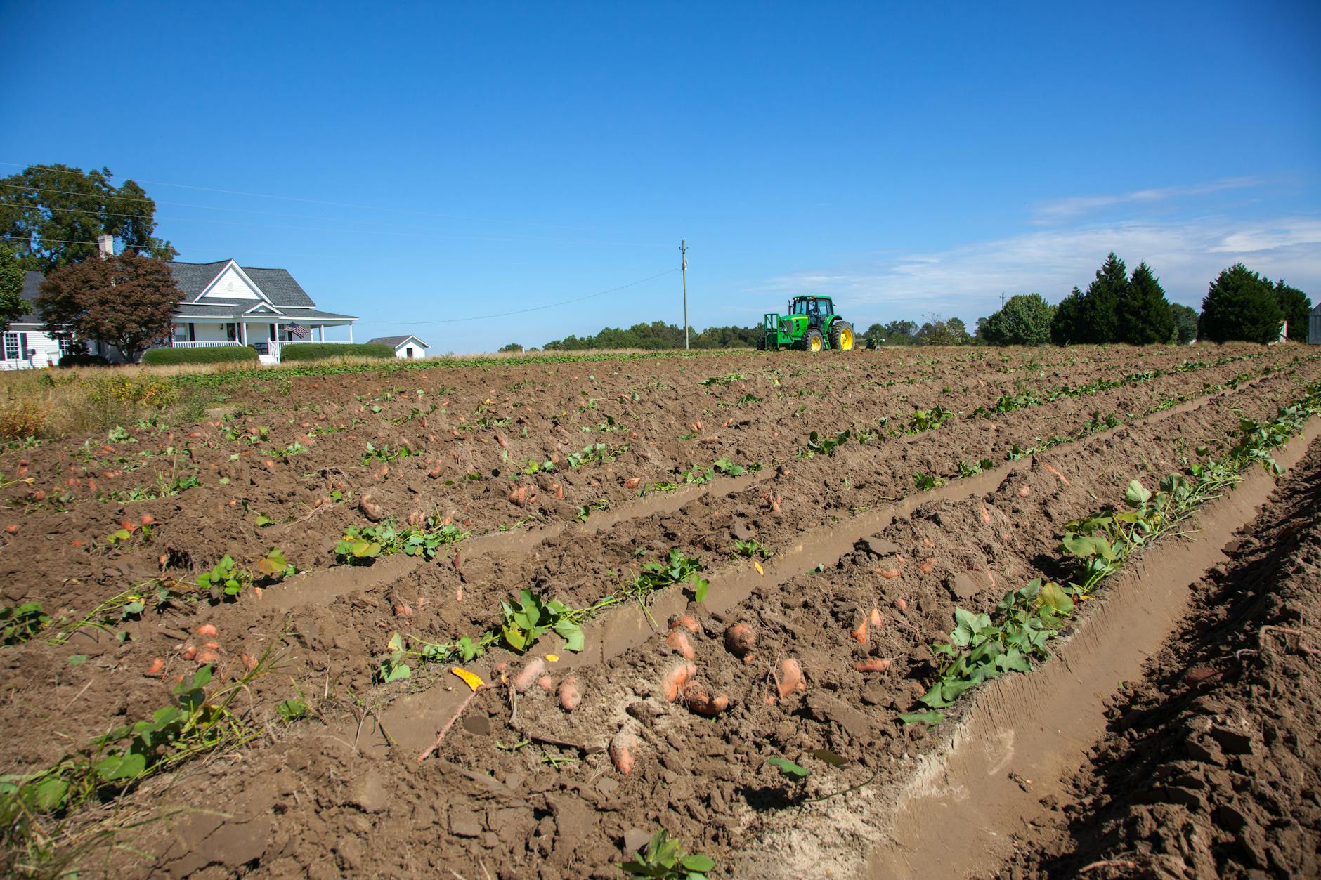Final Thoughts on Harvesting on a Potato Farm in Namibia