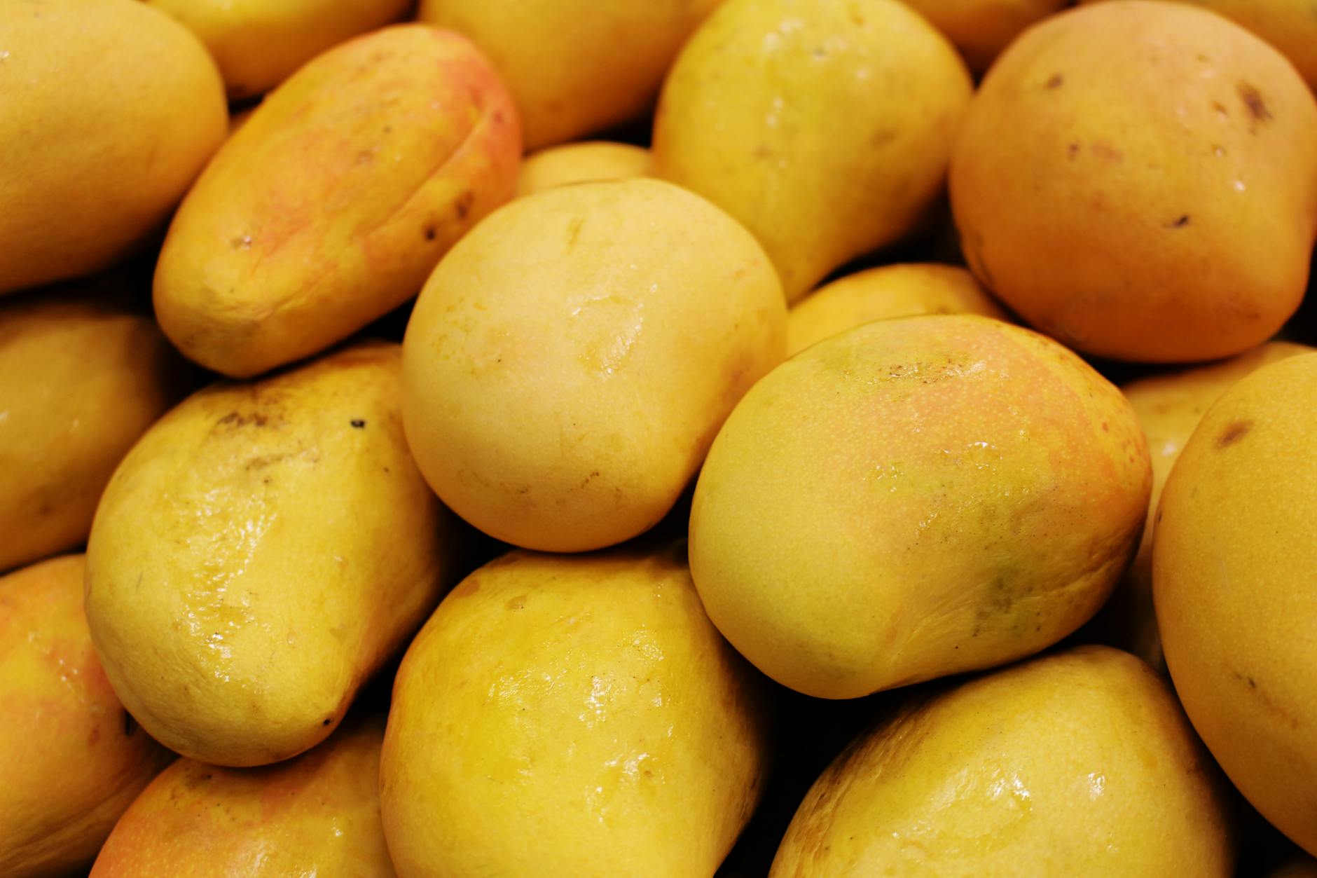 Final Thoughts on Mangoes to Produce in Namibia