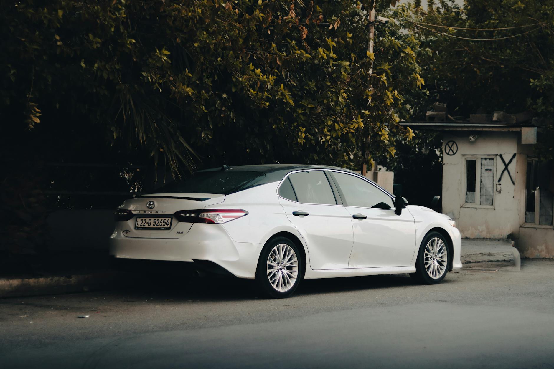 Final Thoughts on Car License Disc Renewal in South Africa