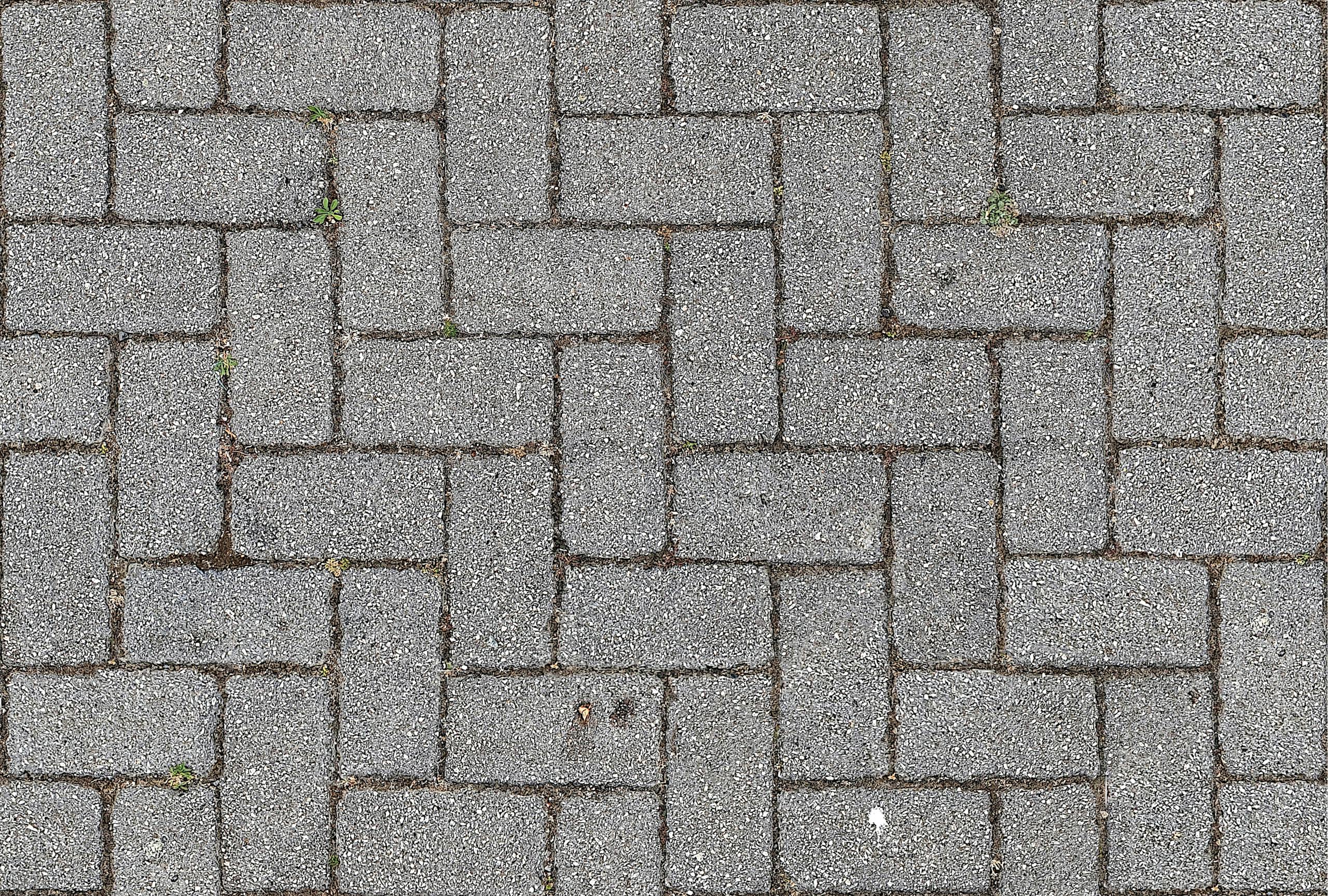 Final Thoughts on Procurement of Repairs and Installation of New Interlocks (G/RFQ/131MS-61/2025)